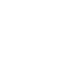 Professional Team